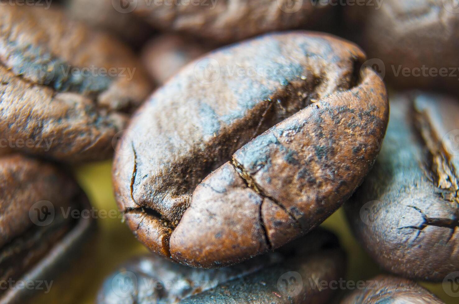Micro photography of coffee bean photo