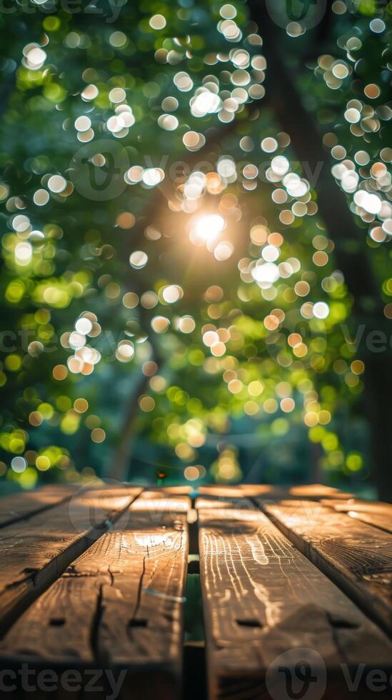 Sunlight filtering through trees onto wooden table photo