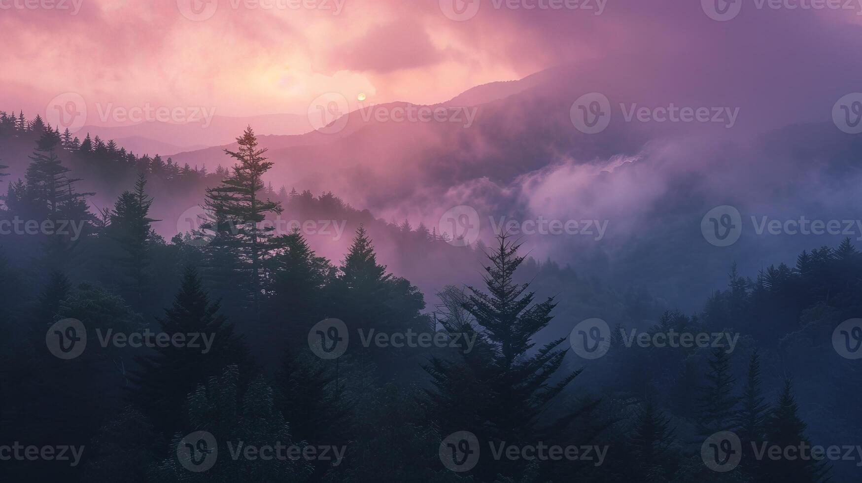 Dense Forest Under Cloudy Sky photo