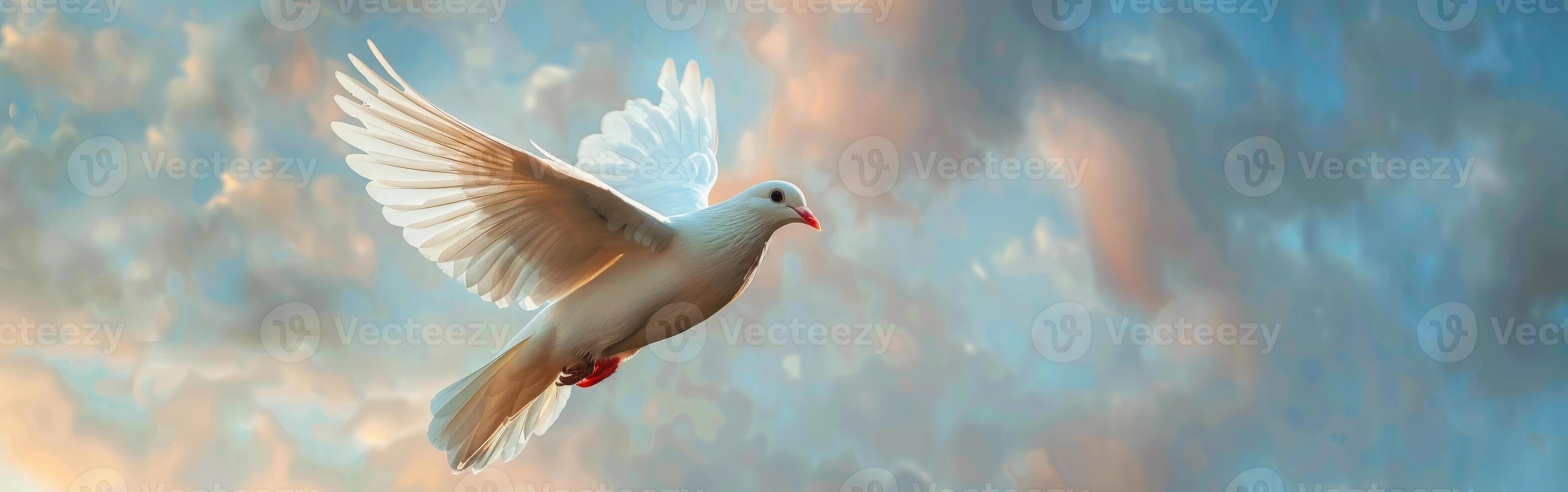 White Dove Flying Through Cloudy Sky photo