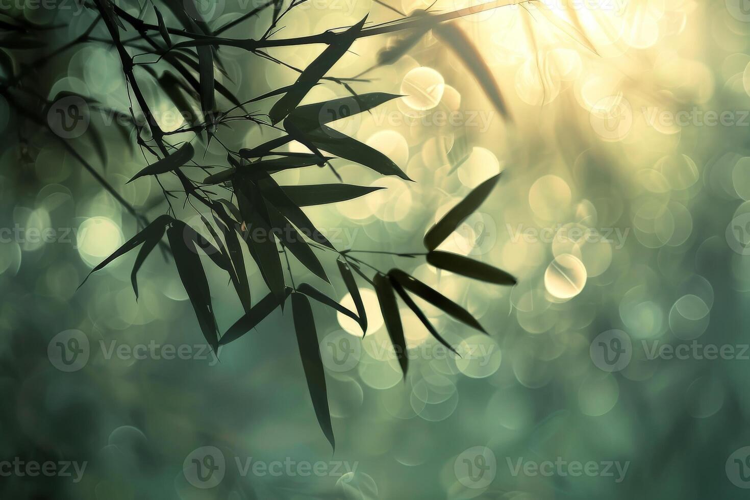 Close-Up of Bamboo Tree Branch photo