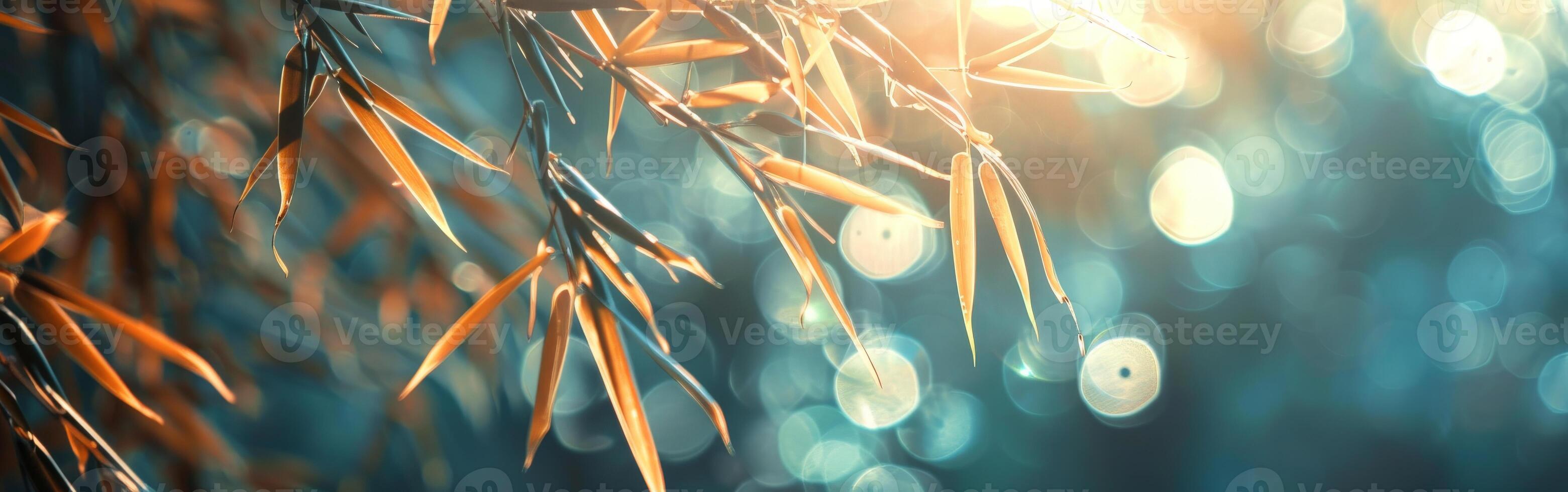 Tree Branch Close Up With Bright Lights photo