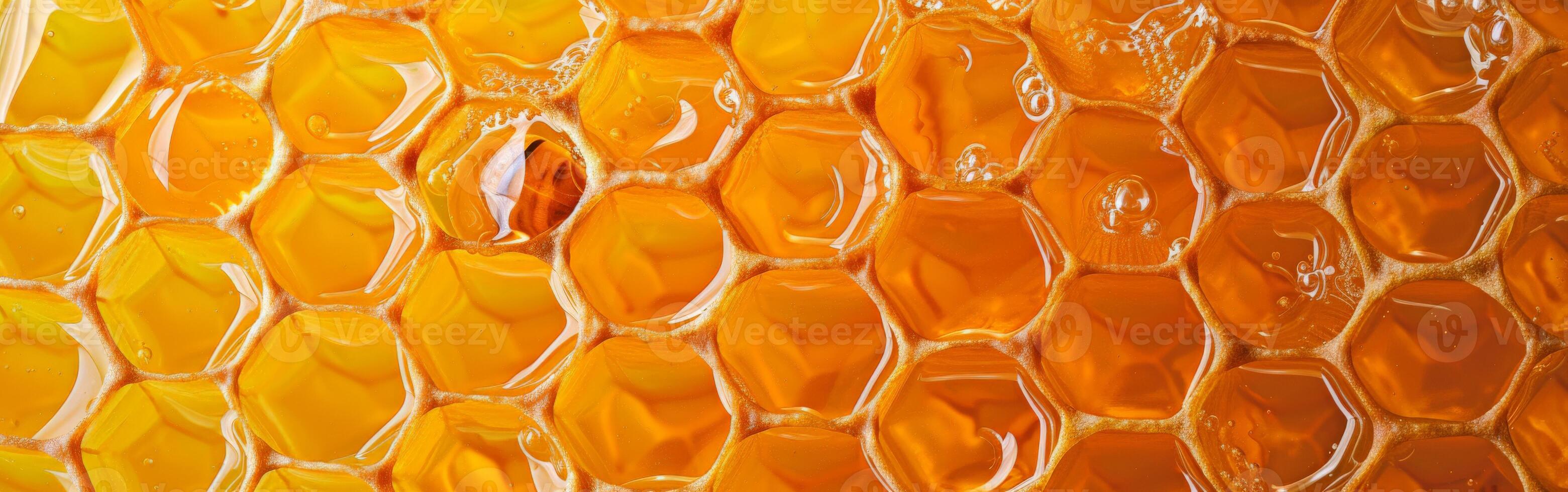 Close Up View of Honeycomb Pattern photo