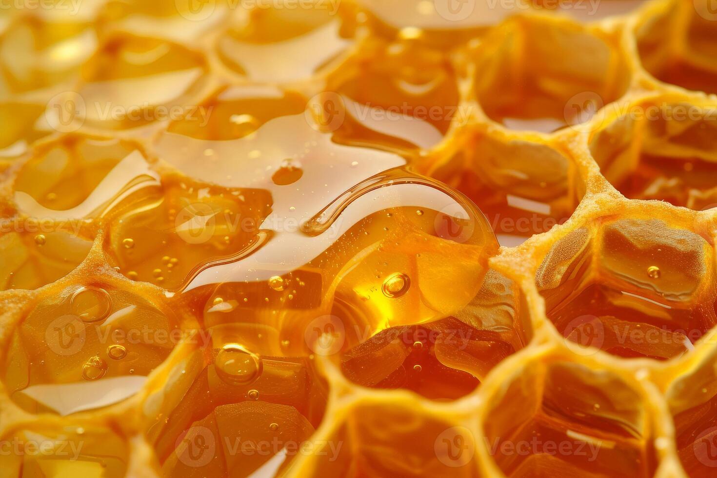 Close-Up View of Honey Cells photo