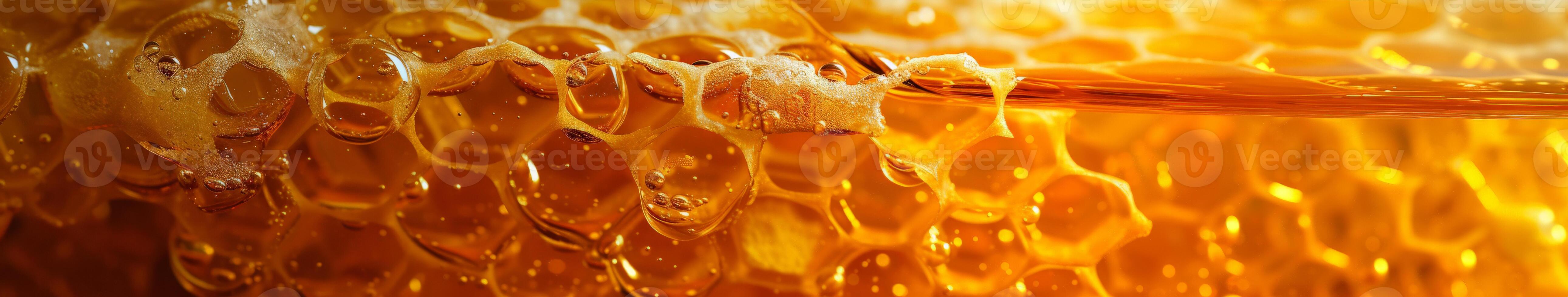 Close-Up View of Honeycomb photo