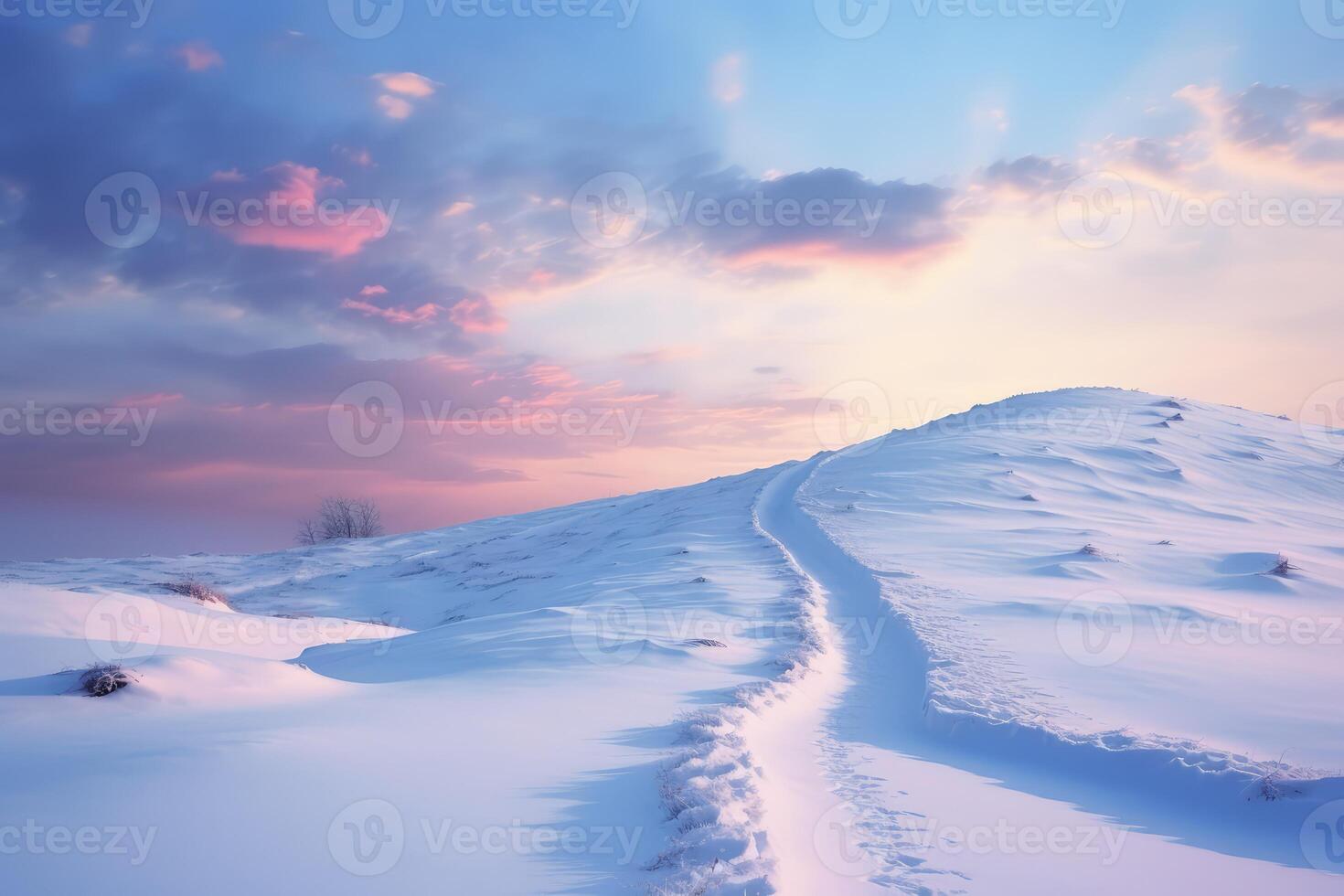 Snow Covered Hill With Trail photo