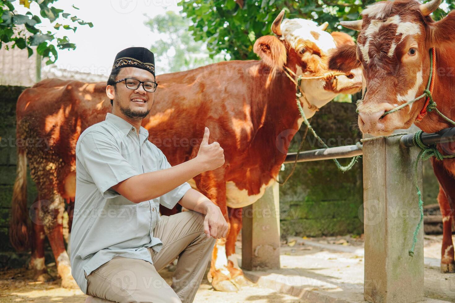 Smiling Asian Muslim man kneeling down while giving thumbs up gesture with livestock cows for sacrifices behind. Eid Al Adha concept. photo