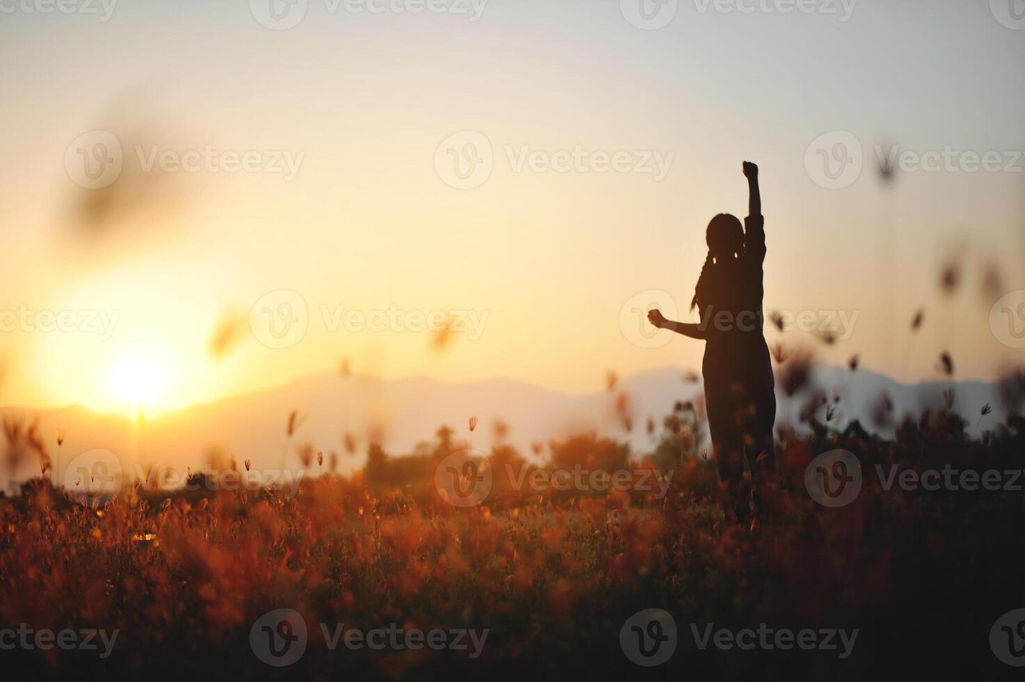 silueta de felicidad y siendo gratis y relajado en vivo vida, éxito y trabajando hacia planificado vida objetivos. foto