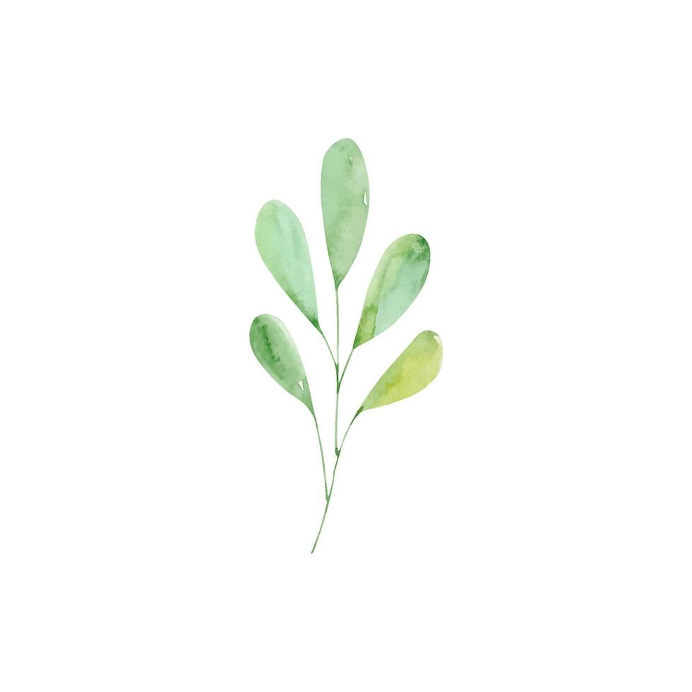 Watercolor green leaves brunch, floral design vector