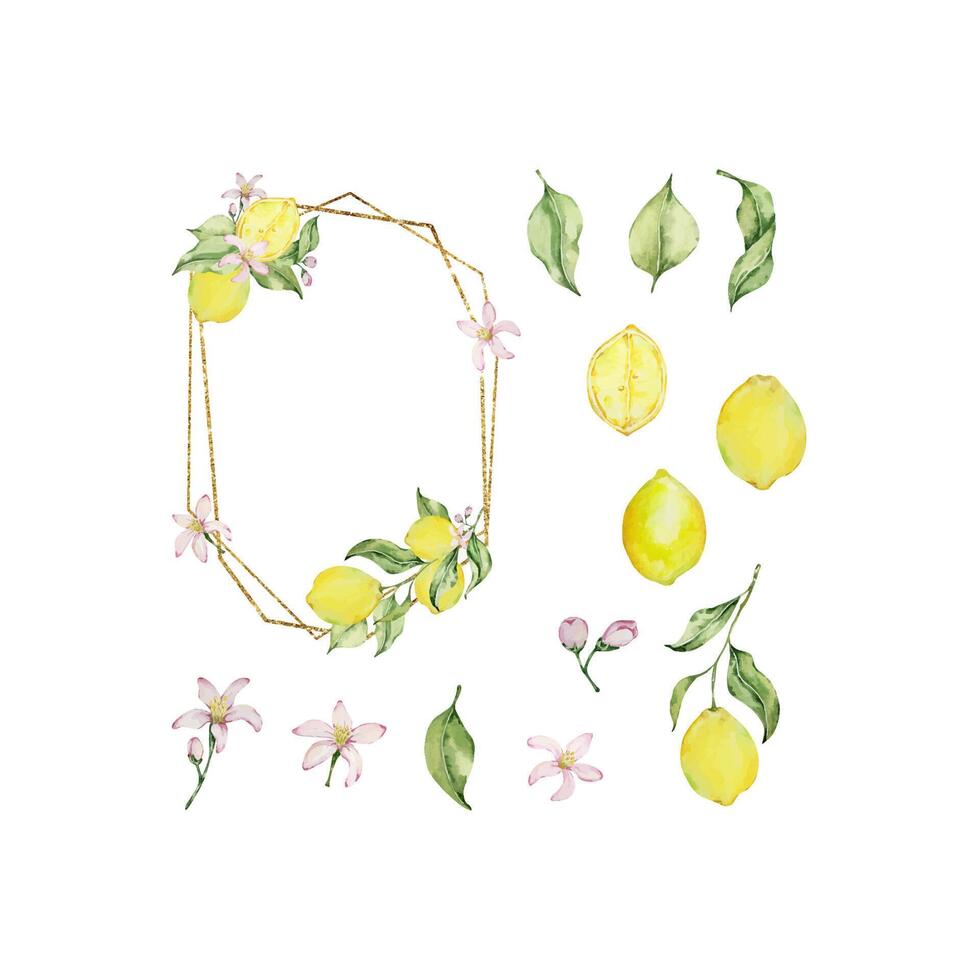 Gold frame with watercolor lemon, leaves and flowers vector