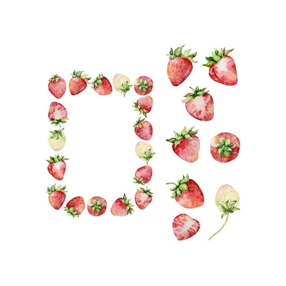 Watercolor strawberries wreath, red berries vector