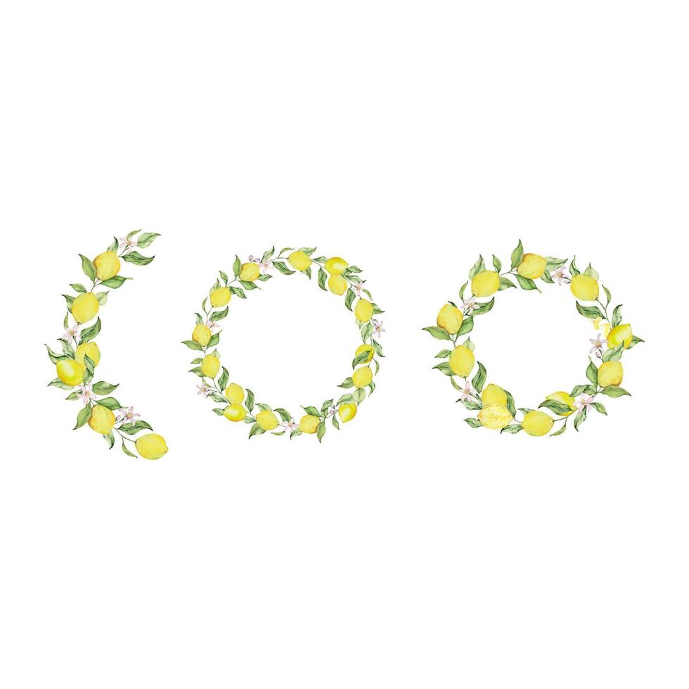 Watercolor lemon frame set with fruit, slice, leaves and flowers vector