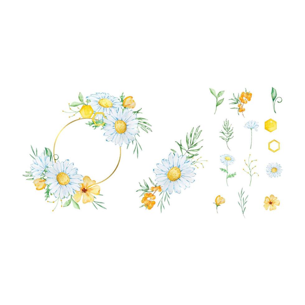Watercolor floral frame with honeycomb, daisy and leaves vector