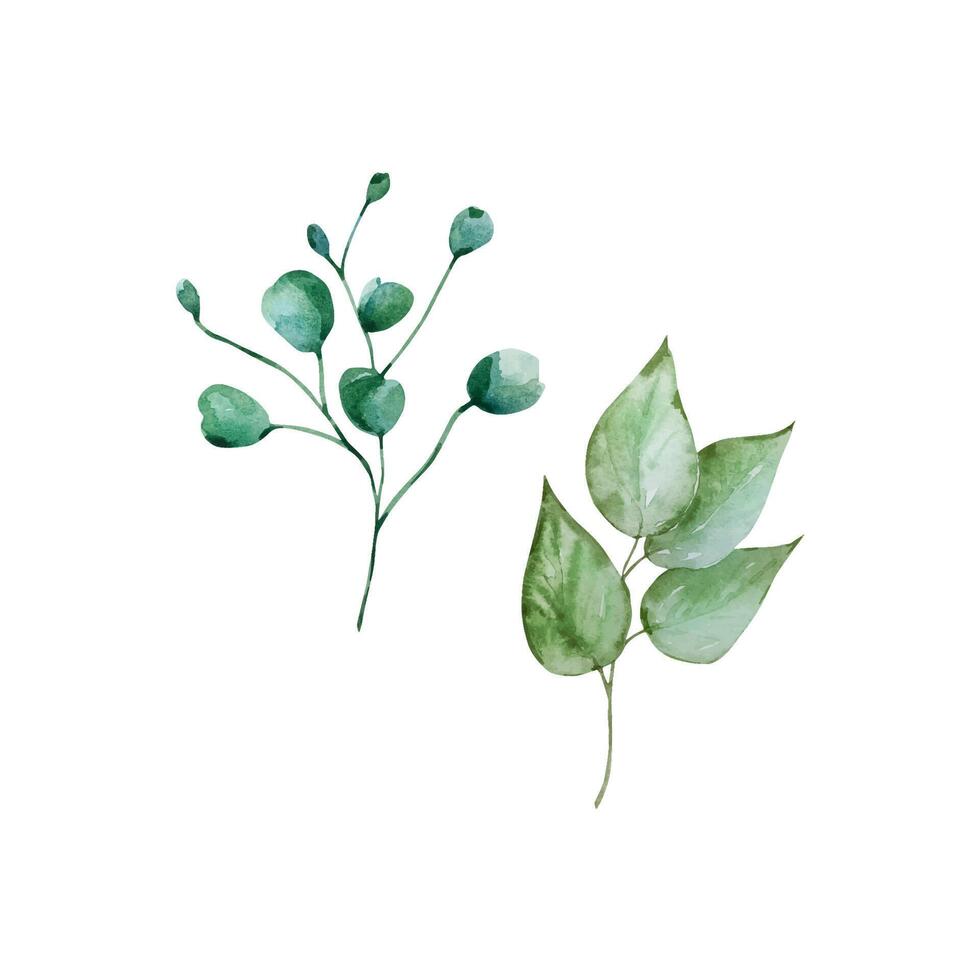 Green leaves watercolor set, floral illustration vector