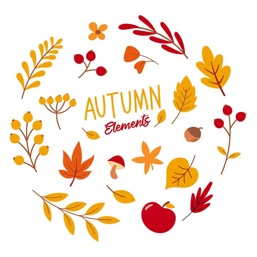 Autumn season element. Background of autumn leaves, berries, flowers and acorns. vector