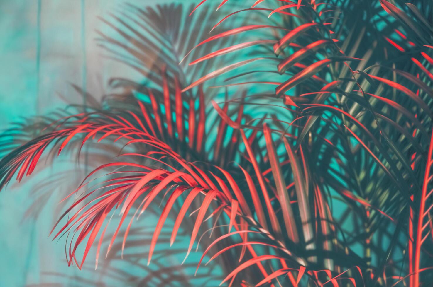 Close-up glitch palm leaves on background. Abstract tropical leaf summer background with turquoise and red party glow colors. Exotic jungle palm tree leaves photo