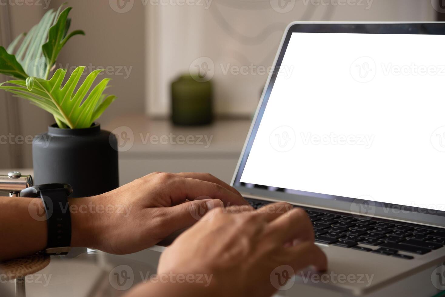 A person is typing on a laptop with a plant in the background photo