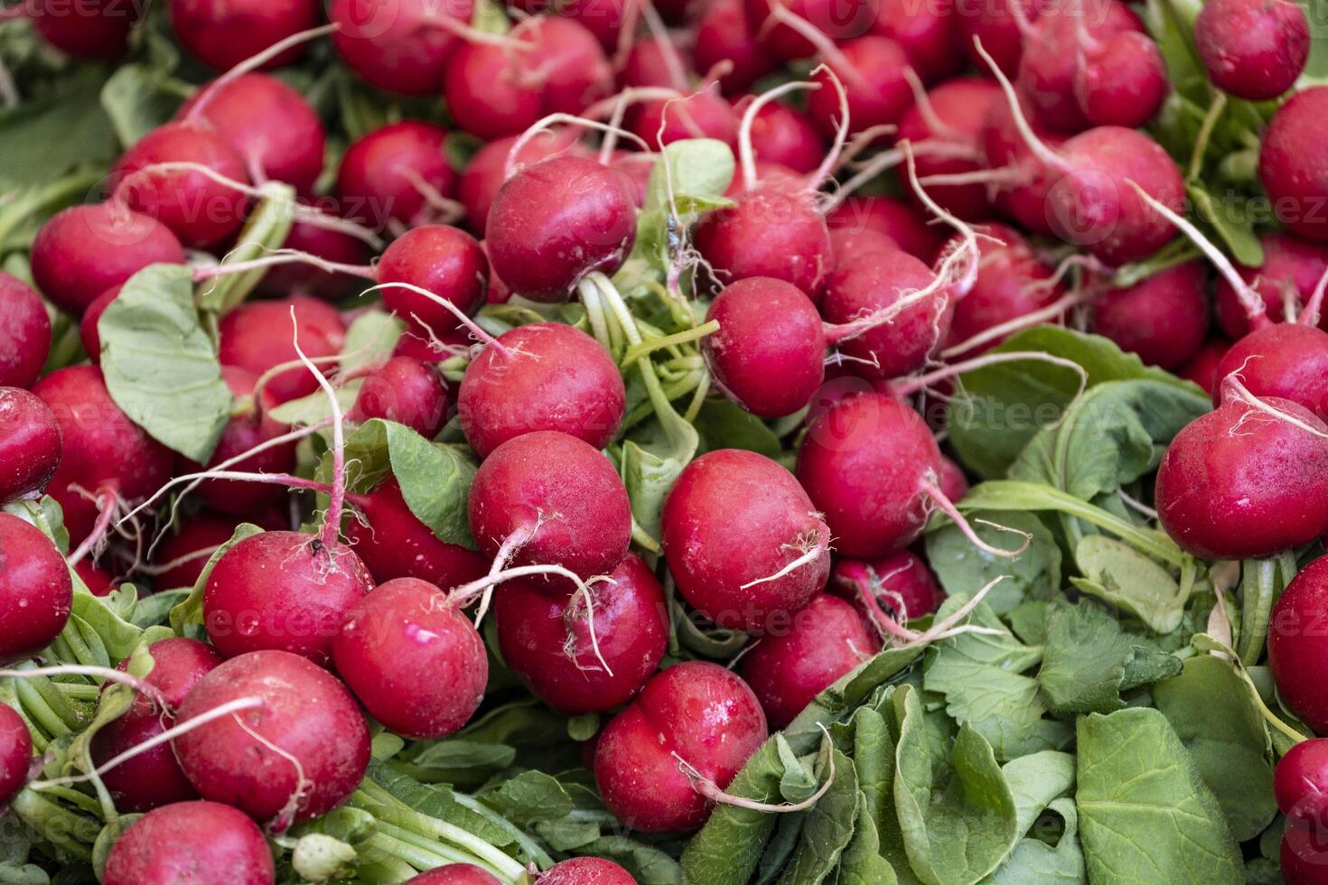 Counter with radishes. Showcase of a vegetable shop in the street market photo