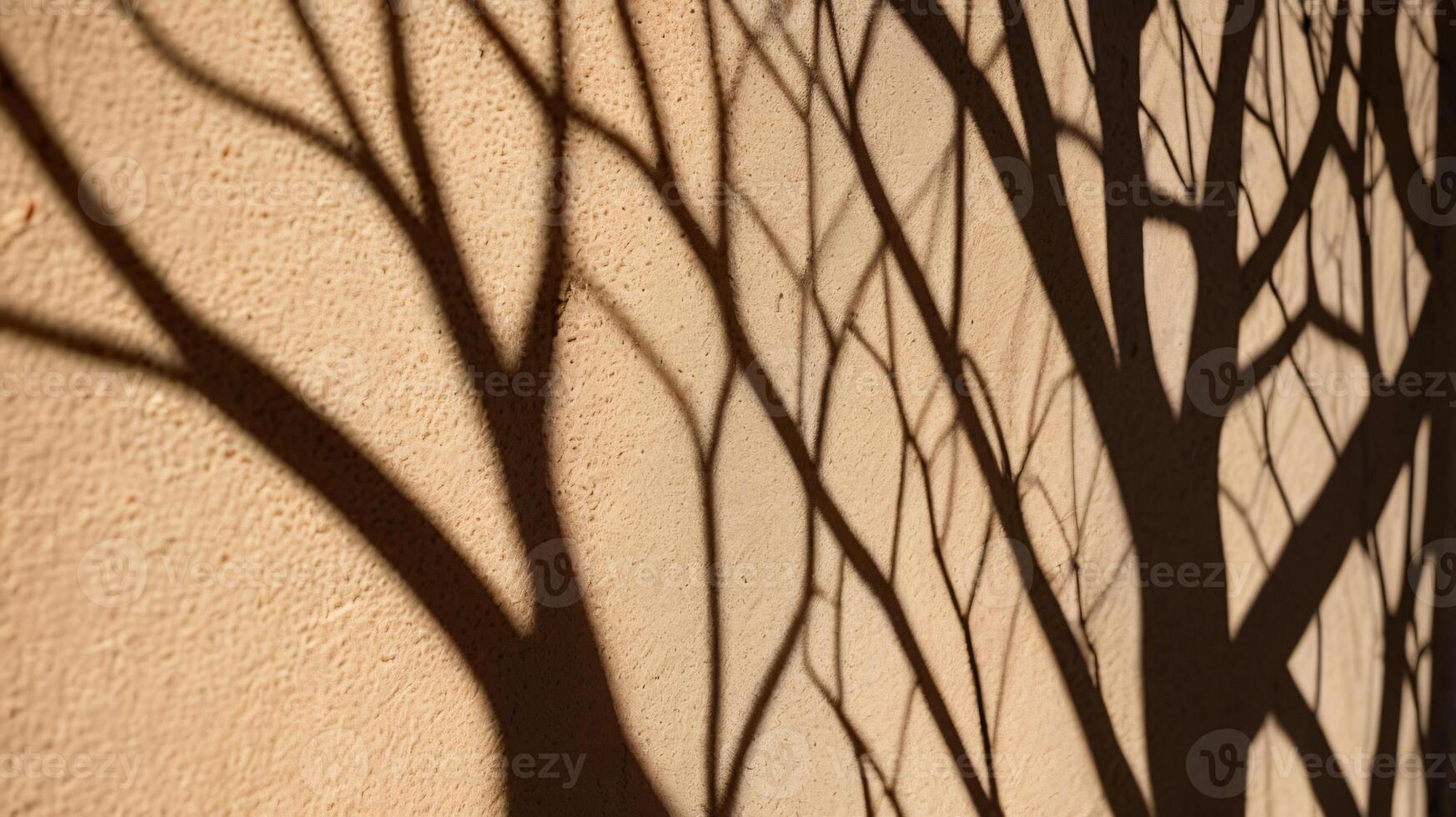 Abstract tree branches shadows on beige concrete wall texture. Copy space, poster mockup flat lay photo