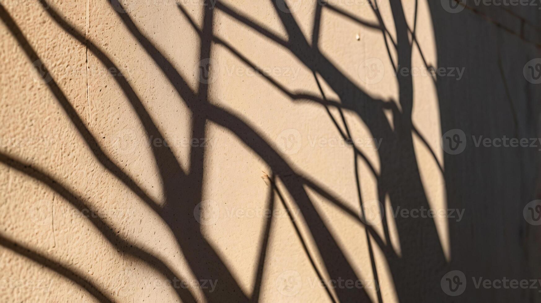 Abstract tree branches shadows on beige concrete wall texture. Copy space, poster mockup flat lay photo