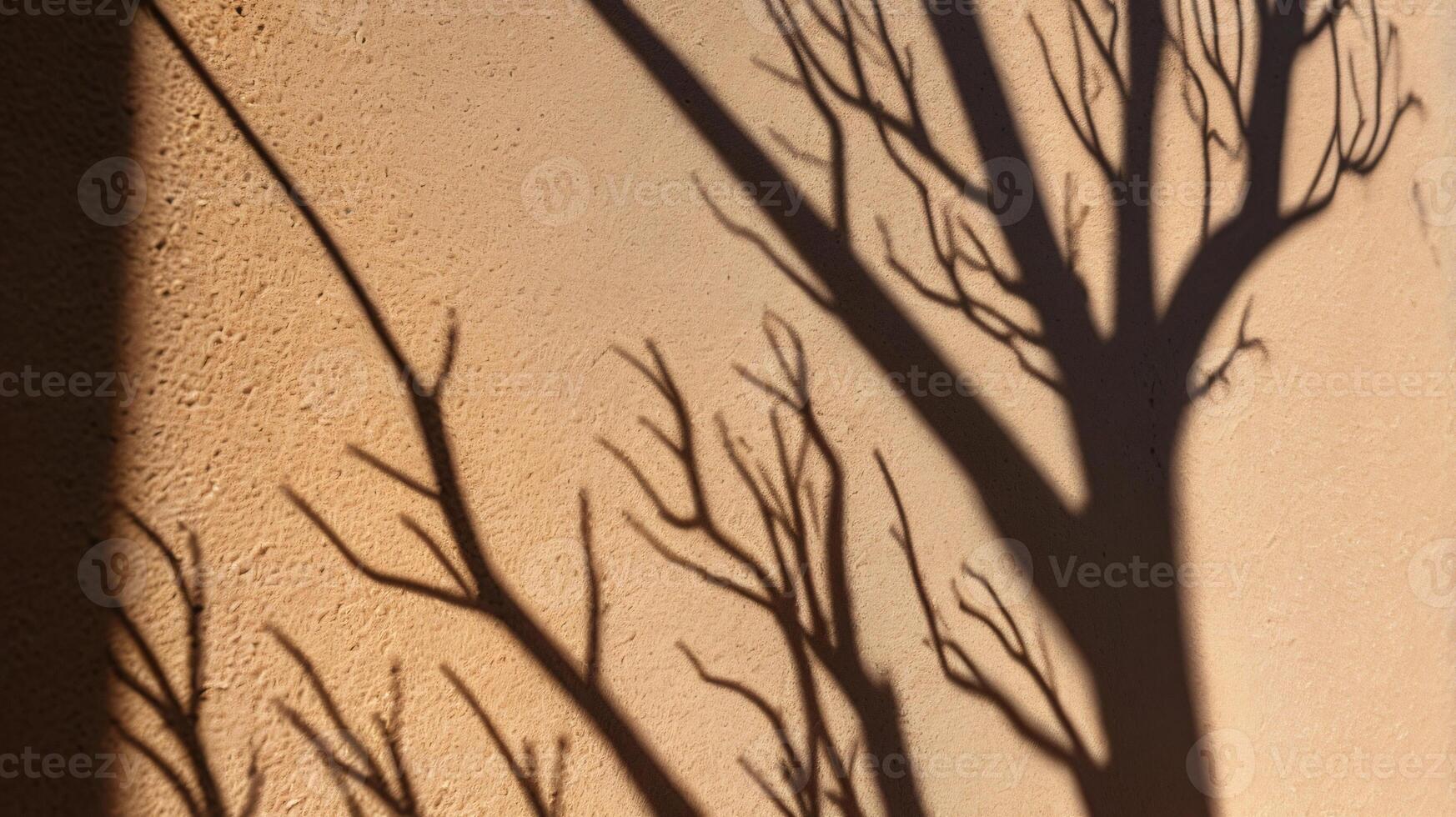 Abstract tree branches shadows on beige concrete wall texture. Copy space, poster mockup flat lay photo