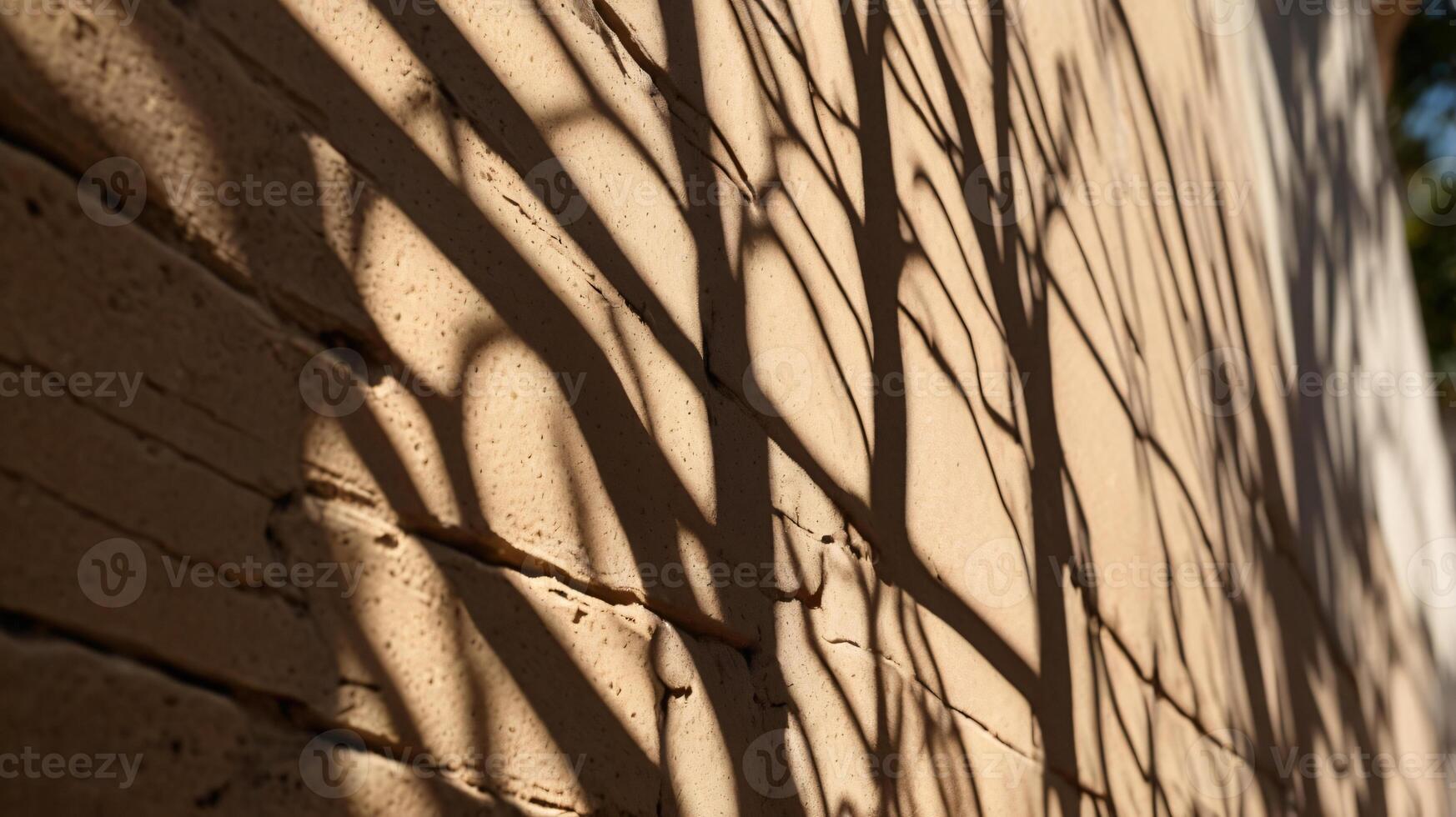 Abstract tree branches shadows on beige concrete wall texture. Copy space, poster mockup flat lay photo