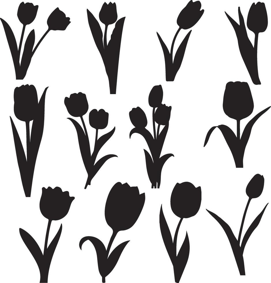 black tulips silhouettes on white background vector