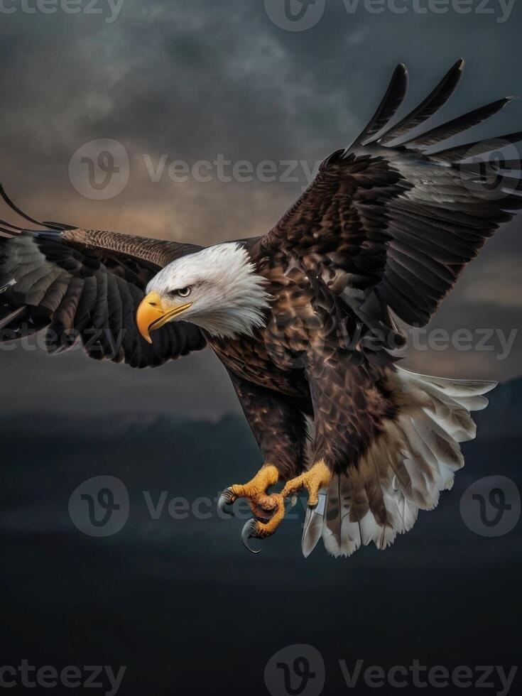 an eagle is flying in the air with its wings spread photo