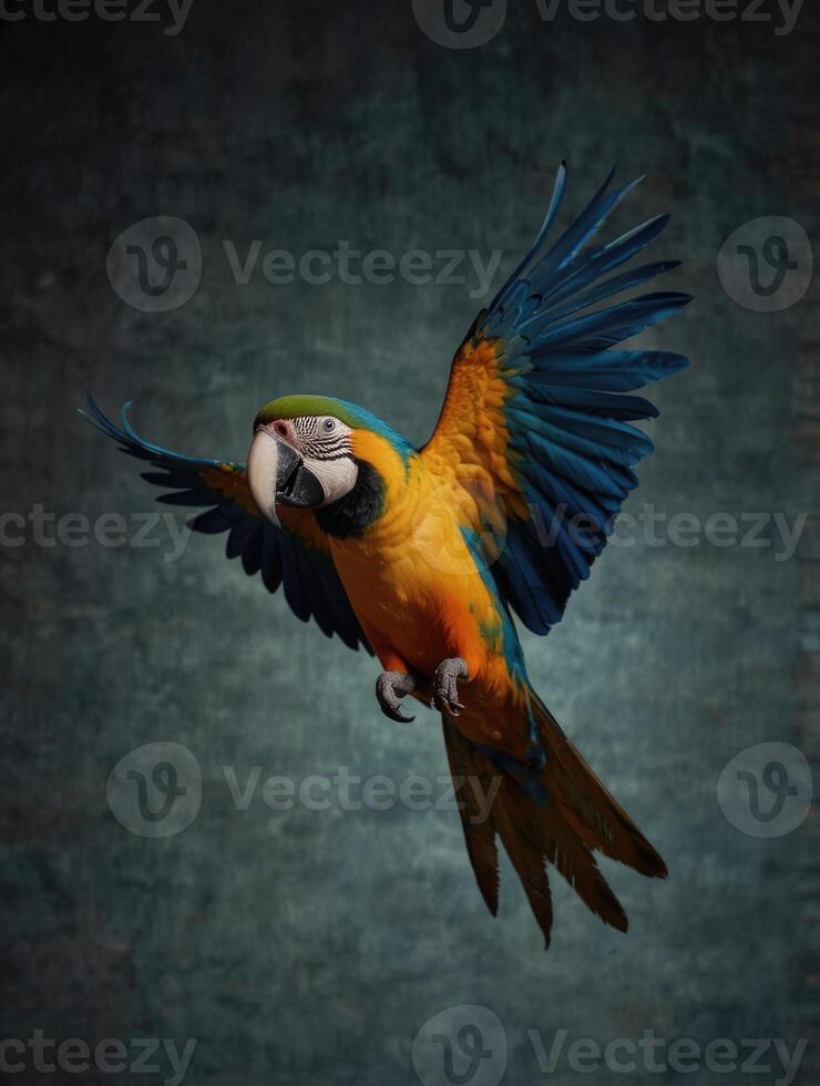 a colorful macaw parrot flying in the air photo