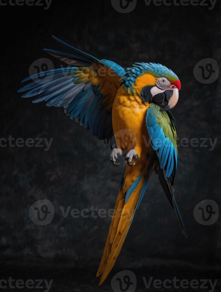 a colorful macaw parrot flying in the air photo