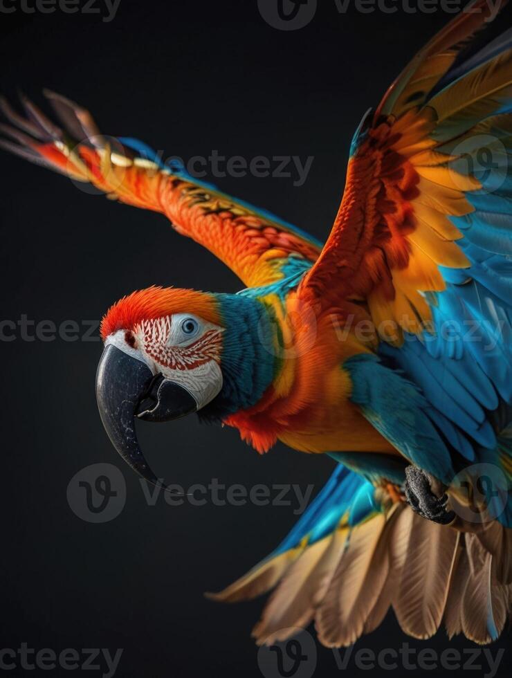 a colorful macaw parrot flying in the air photo