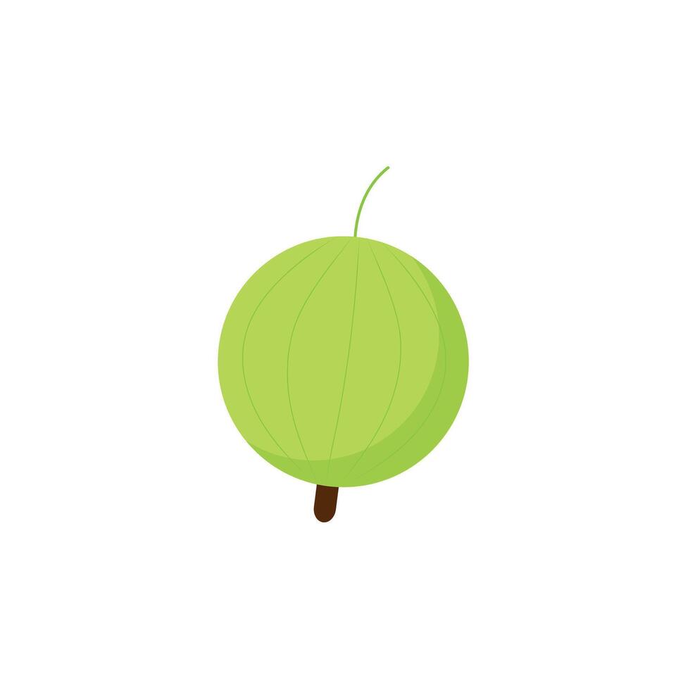 Gooseberry health food fruit natural vitamin goose berry green isolated illustration vector