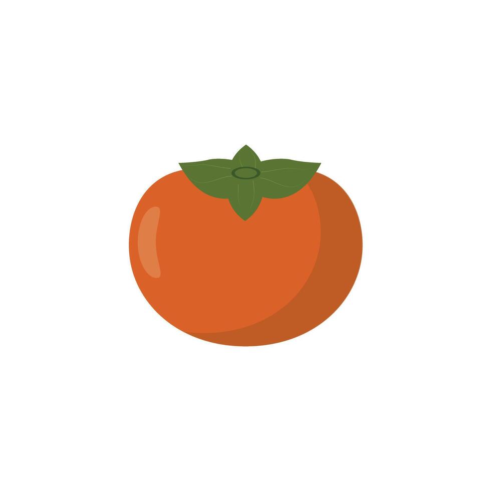 Persimmon cartoon . vector