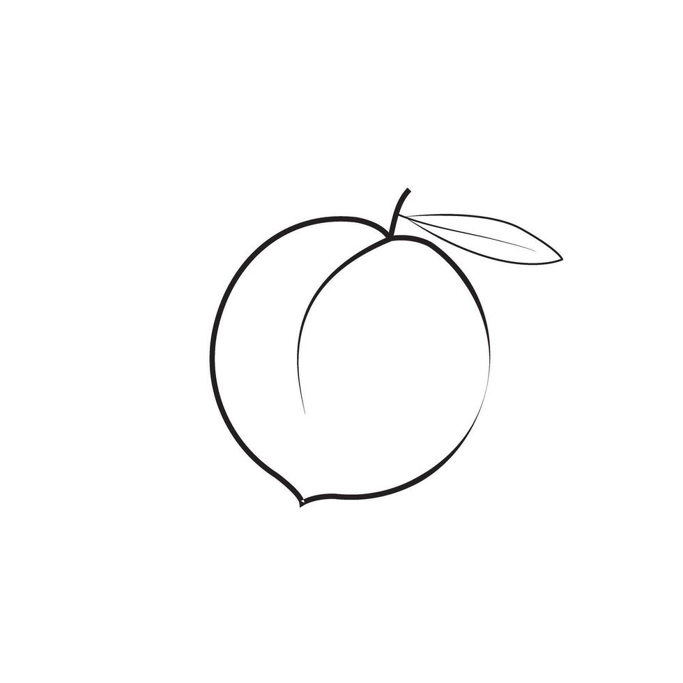 peach thin line icon vector