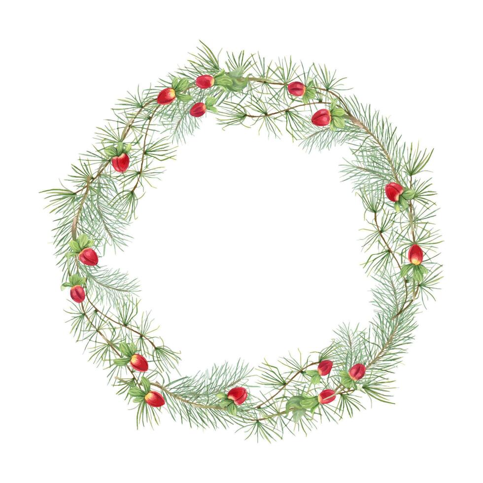 Green pine branches with red berries. Xmas wreath with evergreen branch. Watercolor illustration. Copy space for text. Botanical elements for greeting cards, invitations, projects for holiday season vector