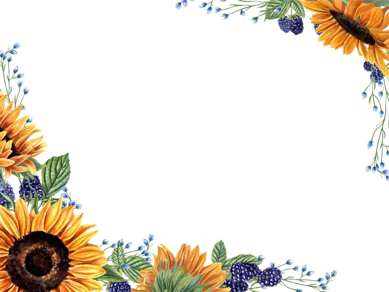 Sunflower heads, blackberries and herbs. Horizontal frame with wild meadow plants, berries. Blue, orange yellow flowers. Floral summer design. Empty space for text. Watercolor illustration. vector