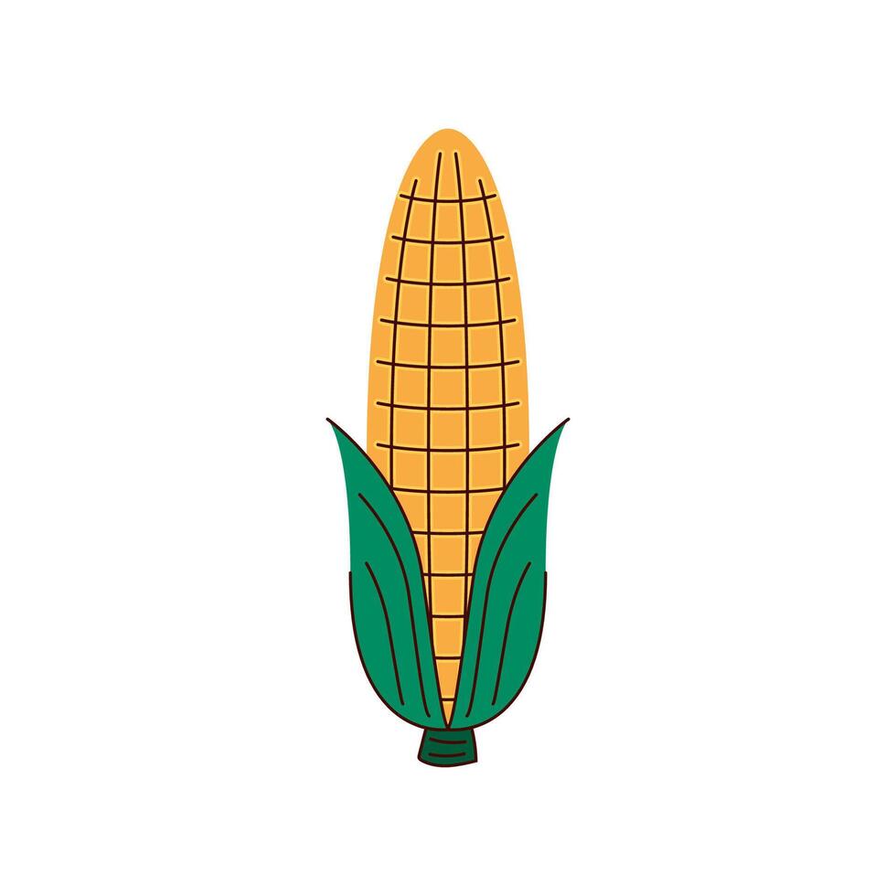Corn on white background. Corn logo design. vector