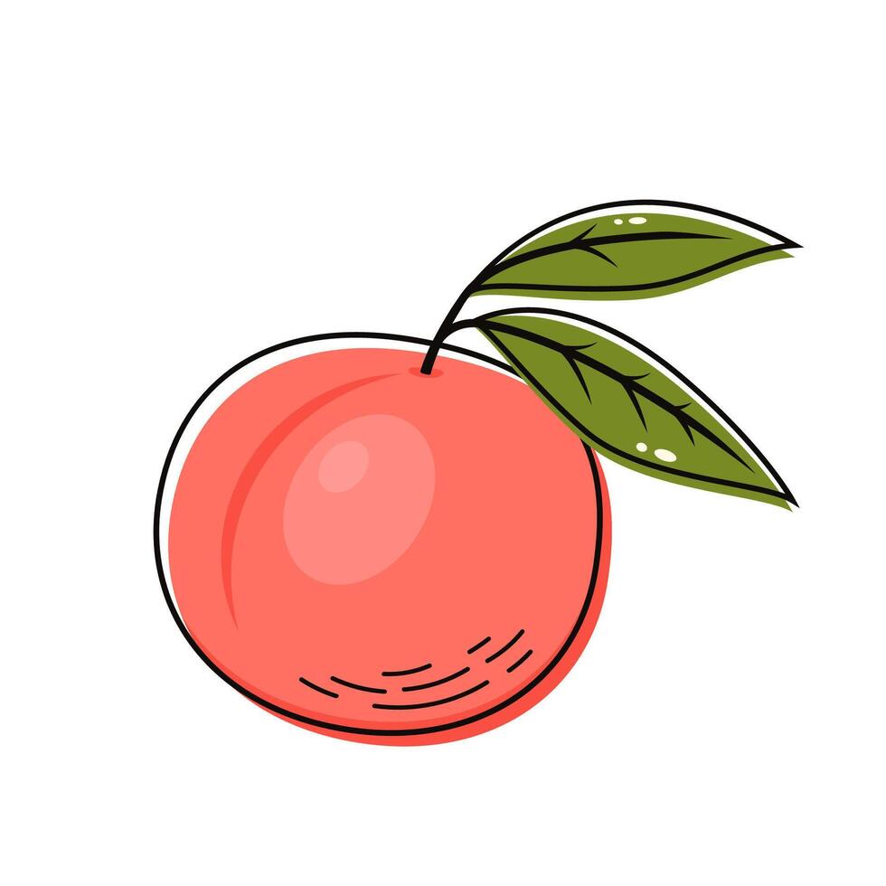Peach cartoon . Doodle peach with leaves icon. Peach fruit in shape of heart isolated on white background. Farm, natural food, fresh fruits. vector