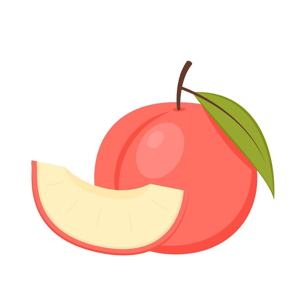 Peach cartoon . Doodle peach with leaves icon. Peach fruit in shape of heart isolated on white background. Farm, natural food, fresh fruits. vector