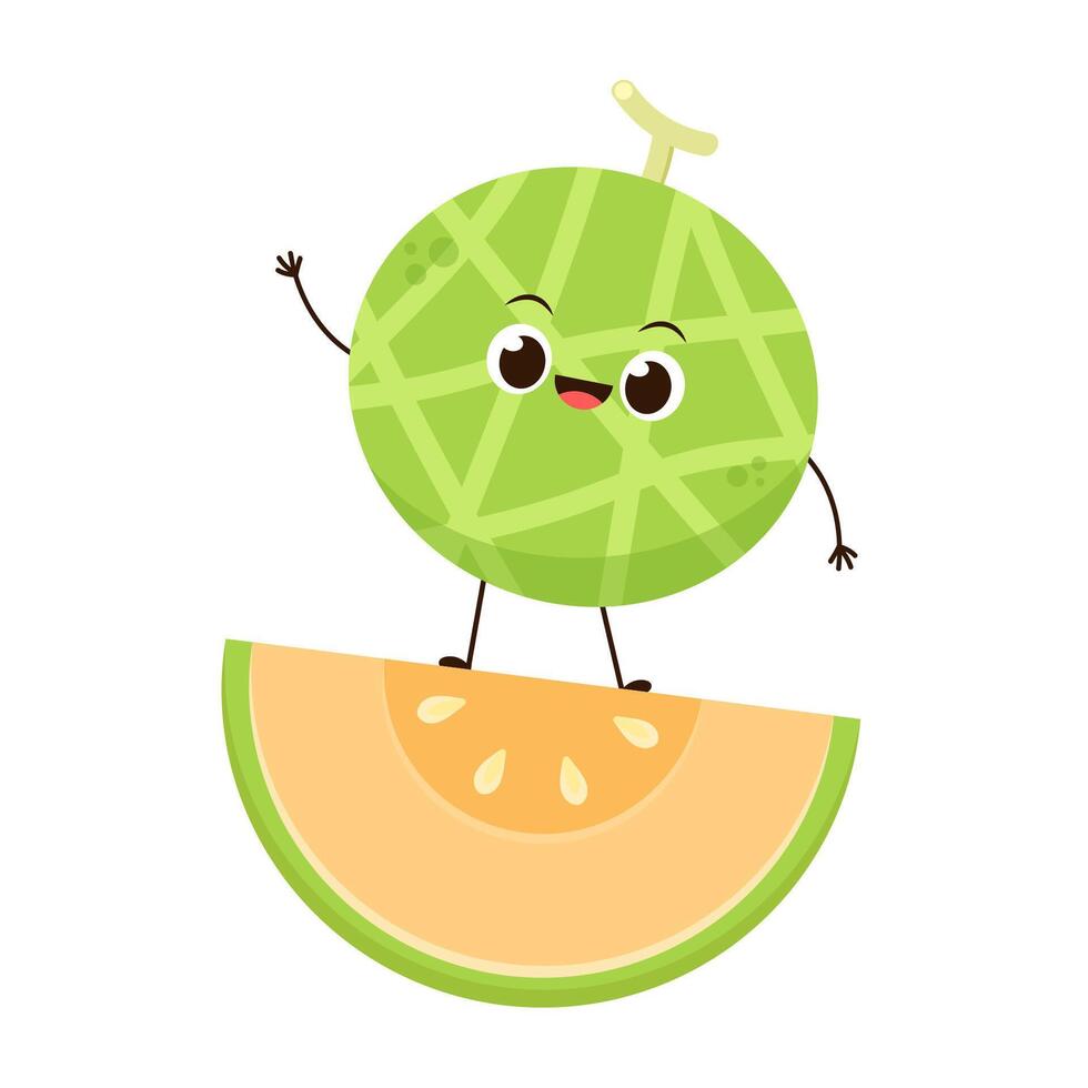Melon character design. melon on white background. Melon cartoon. vector