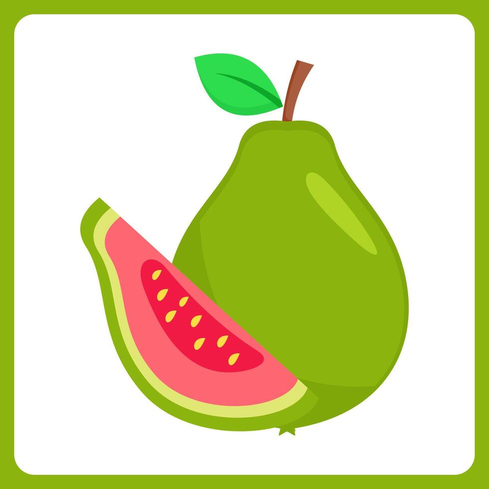 guava fruit healthy. food fruit icon concept isolated . flat cartoon style vector