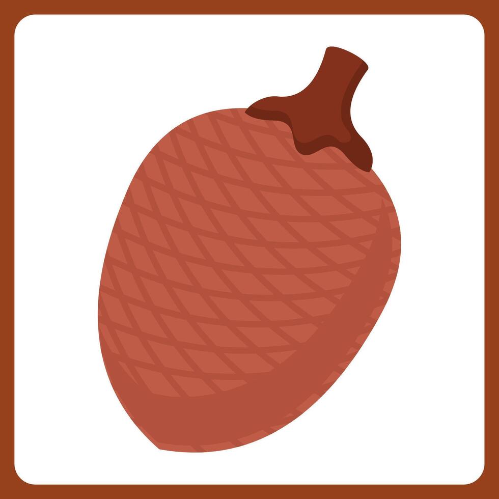 ita palm fruit healthy. food fruit icon concept isolated . flat cartoon style vector