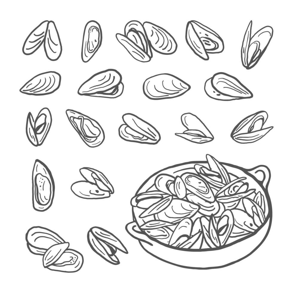 Mussels set isolated on white background. Sea food simple hand drawn illustration vector