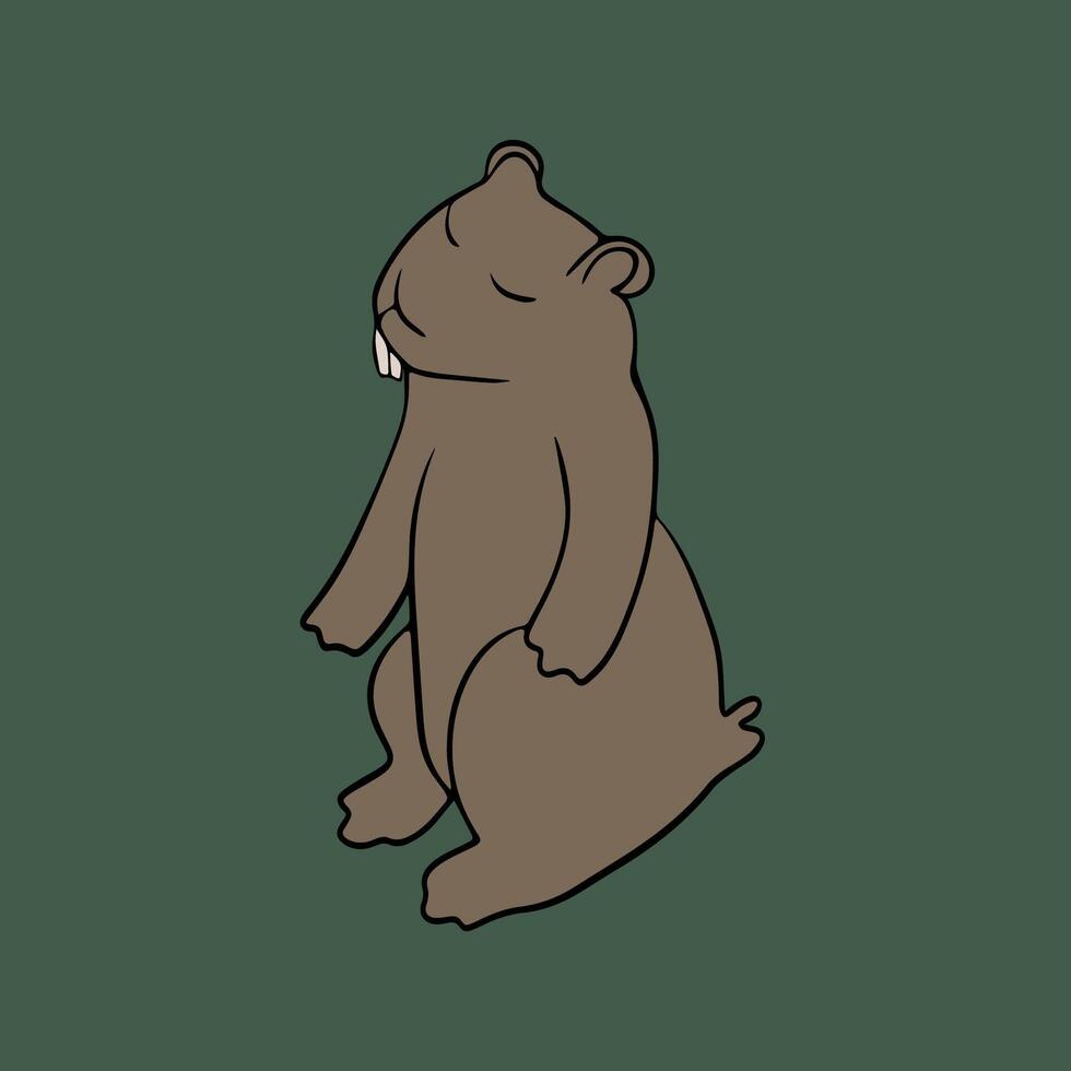 Illustration of groundhog animal. A drawing of a marmot in color with a contour. vector