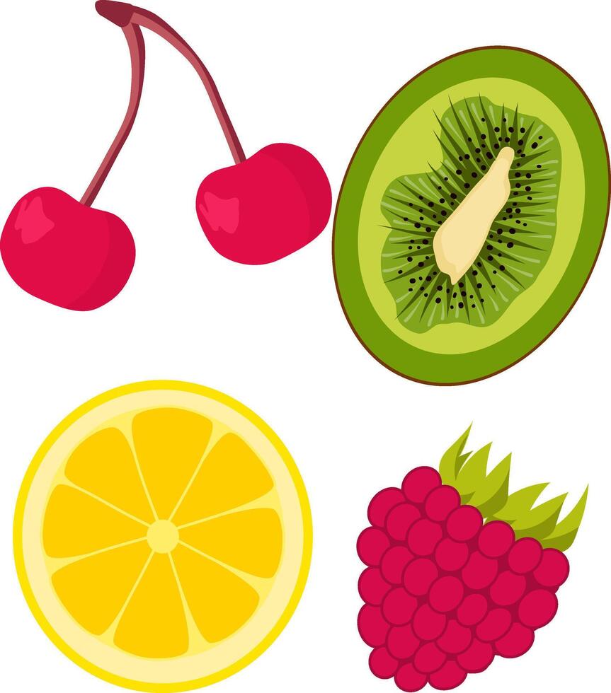 Hand draw fruits kiwi lemon cherry raspberry vector