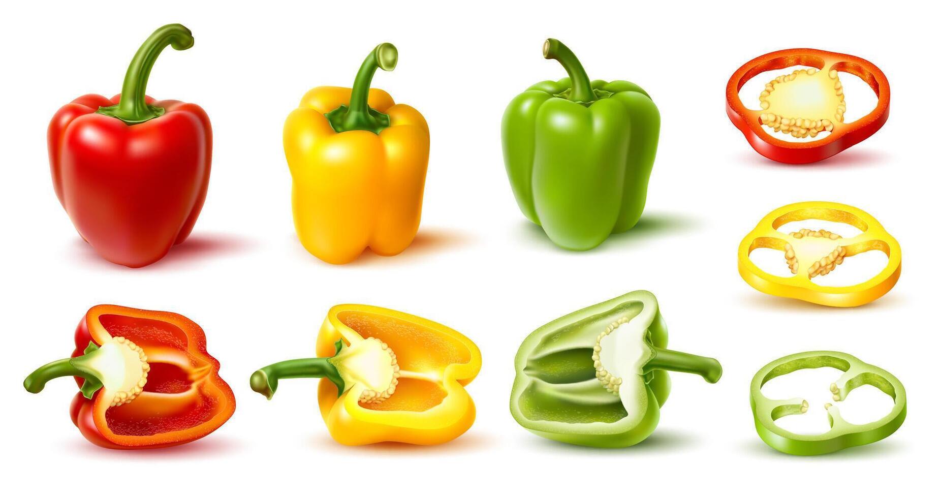 Realistic ripe raw bell pepper vegetable 3d set vector