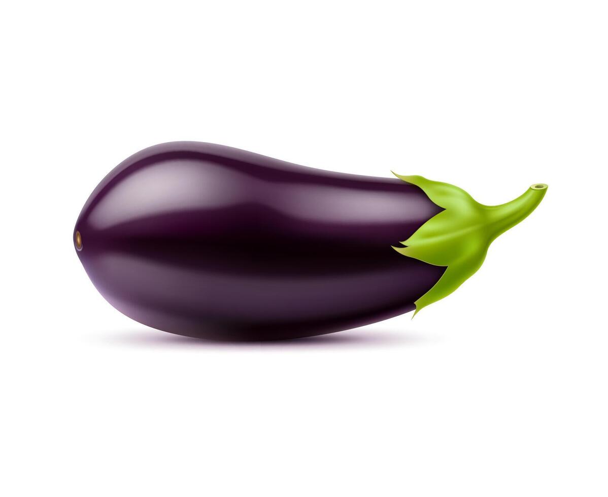 Realistic raw isolated eggplant, whole vegetable vector