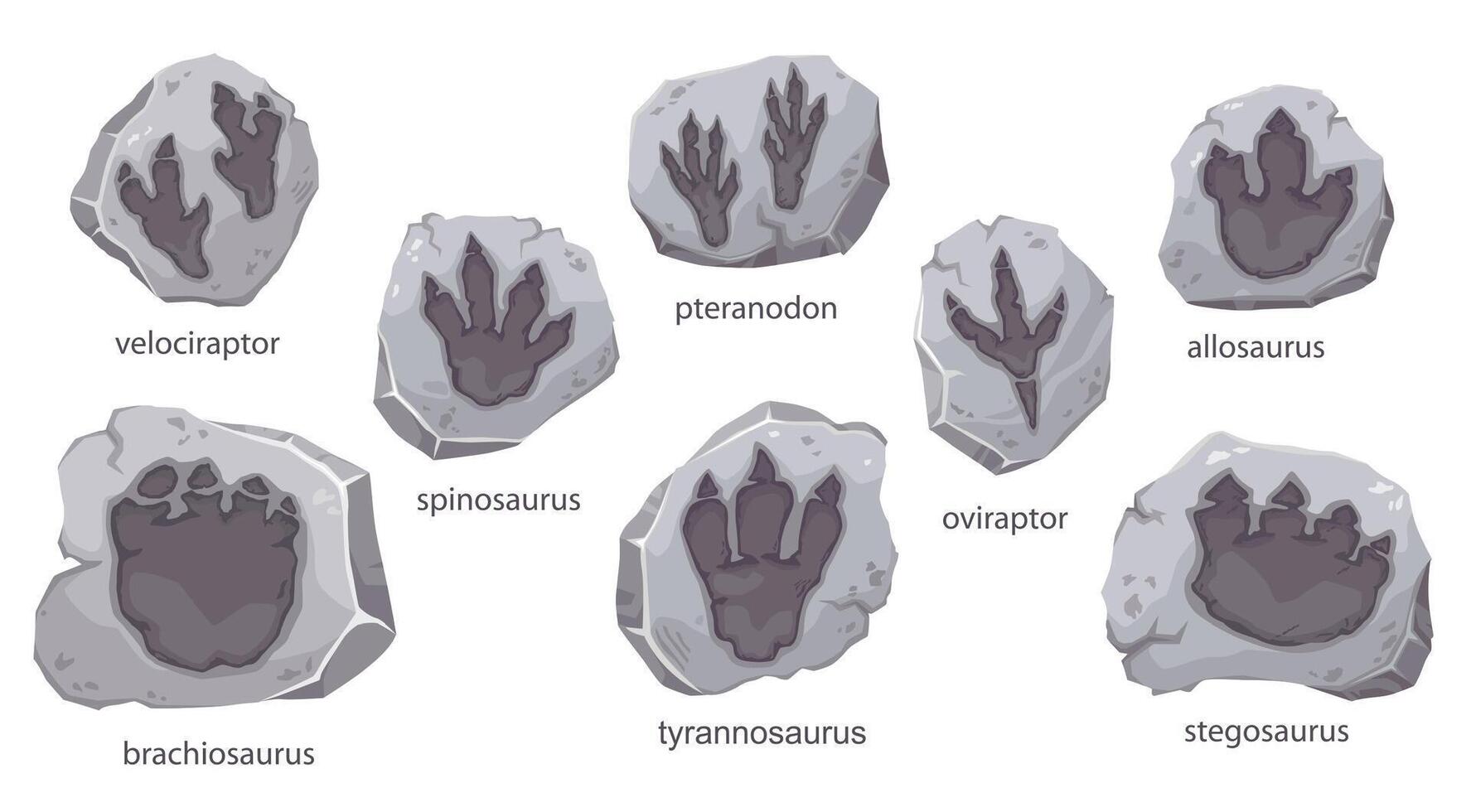 Dinosaur footprints fossil and archeology stones vector