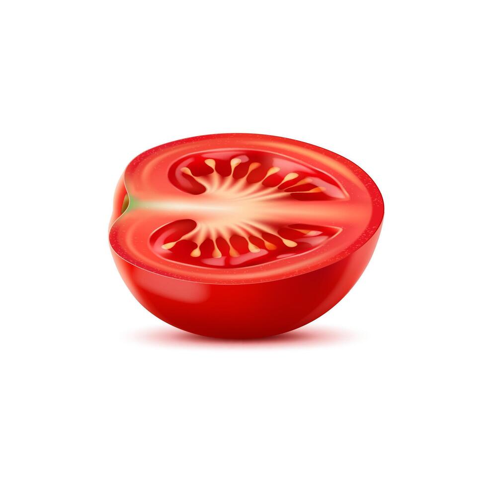 Raw realistic red ripe tomato slice, cherry half vector
