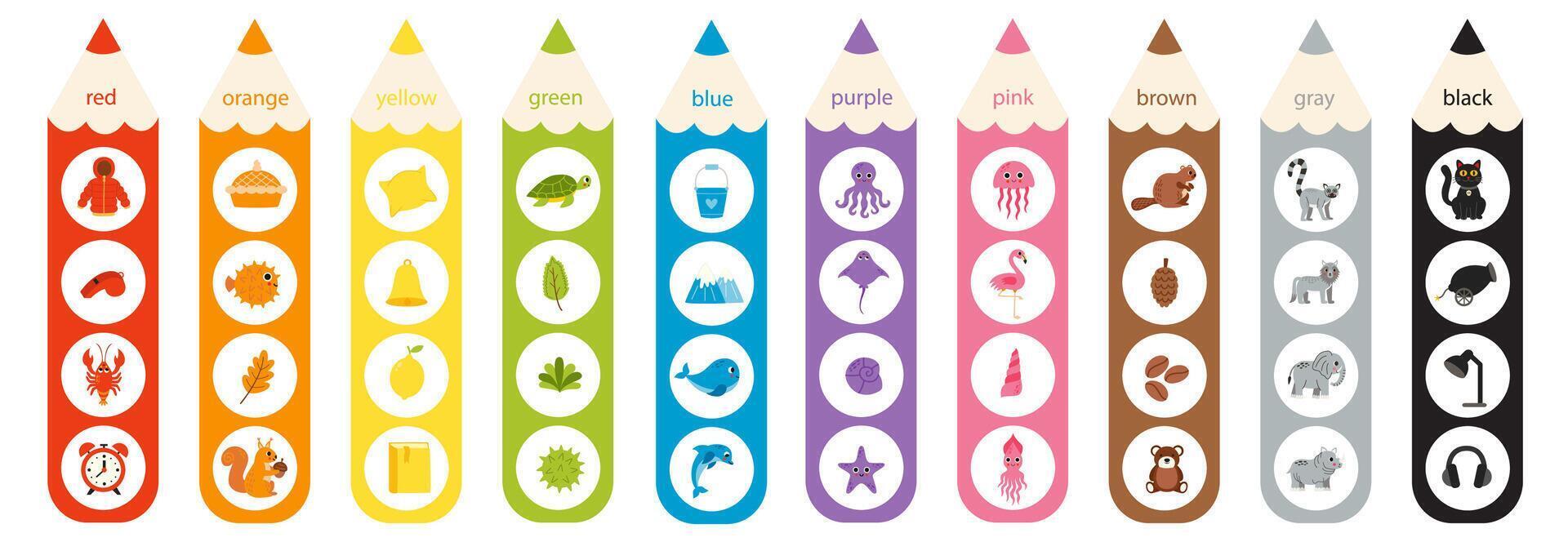 Learning basic colors for preschool kids. Colorful pencils. vector